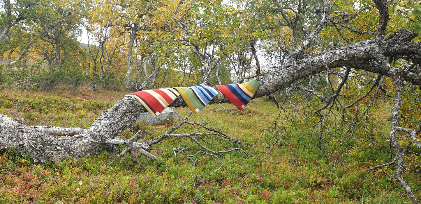 Sittplättarna skogen, havet och Medelpad