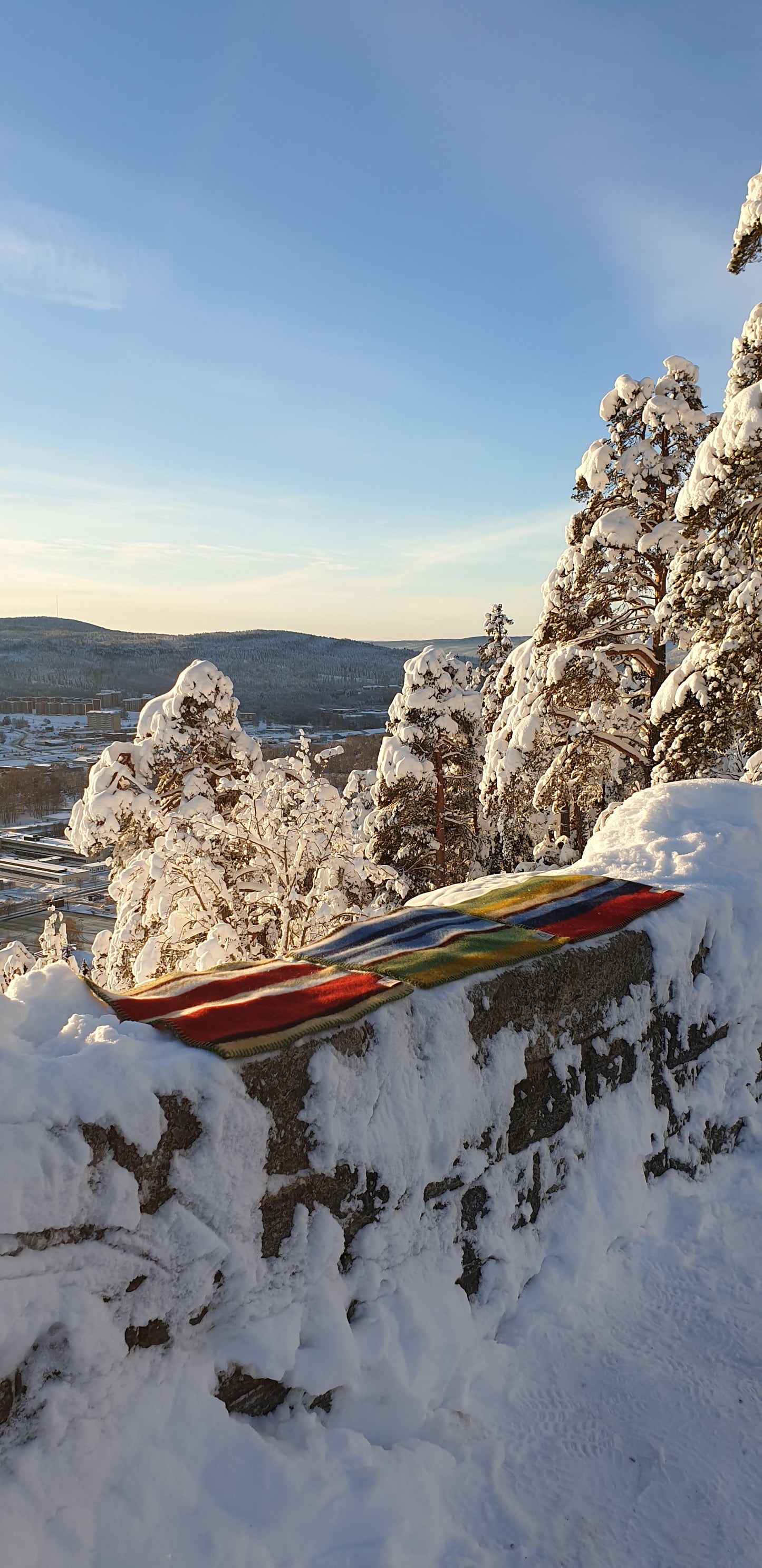 7. Sittplätt Skogen